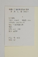 臭杏、土荊芥藏品圖，第2張
