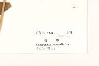 豨簽藏品圖，第3張