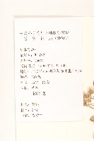 一枝香藏品圖，第2張