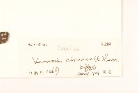 一枝香藏品圖，第3張