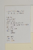 七里明艾納香藏品圖，第2張