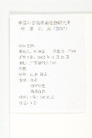 紅瓜藏品圖，第2張