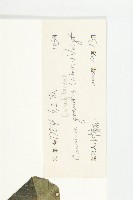 紅瓜藏品圖，第3張