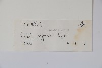 圓葉山梗菜藏品圖，第2張