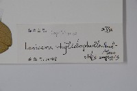 登錄號:S102360藏品圖，第2張