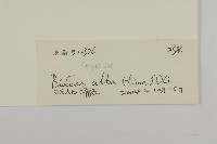 大花咸豐草藏品圖，第3張