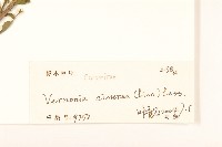 一枝香藏品圖，第3張