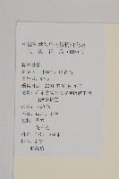 霍香薊藏品圖，第2張