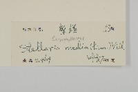 繁縷藏品圖，第3張