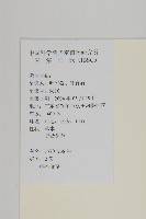 石胡荽、吐金草藏品圖，第2張