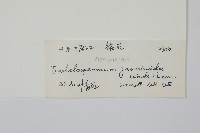 絡石藏品圖，第2張