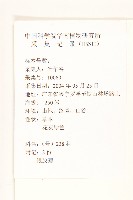 銀膠菊藏品圖，第2張