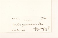 長柄菊藏品圖，第3張