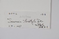 水東哥藏品圖，第2張