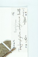 牛耳楓藏品圖，第3張