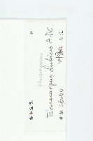 顯脈杜英藏品圖，第3張