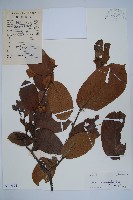 登錄號:S102674藏品圖，第1張