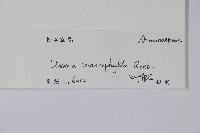 登錄號:S102674藏品圖，第2張