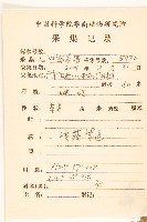 嶺南野菊藏品圖，第2張