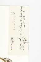 木鱉子藏品圖，第3張