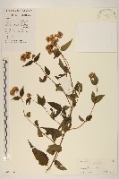 登錄號:S102706藏品圖，第1張