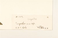 登錄號:S102706藏品圖，第3張