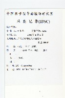 黃鵪菜藏品圖，第2張