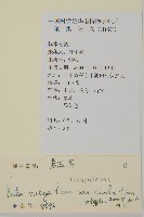 厚皮菜藏品圖，第2張