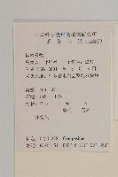 異色獼猴桃藏品圖，第4張