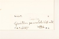 金鈕釦藏品圖，第3張