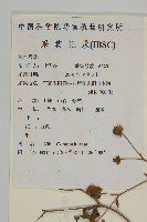 下田菊藏品圖，第2張