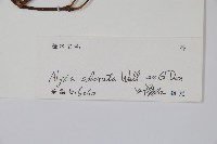 登錄號:S102878藏品圖，第2張