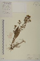 登錄號:S102880藏品圖，第1張