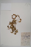 登錄號:S102937藏品圖，第1張