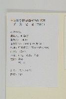 微糙三脈紫菀藏品圖，第2張