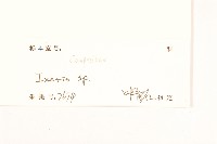 登錄號:S103021藏品圖，第3張