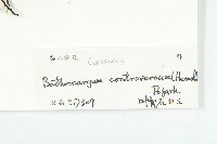 登錄號:S103031藏品圖，第3張