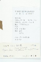 盒果藤藏品圖，第2張