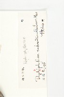 假輪葉虎皮楠藏品圖，第3張