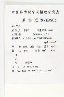 長柱茅膏菜藏品圖，第2張