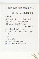 葶藶藏品圖，第2張