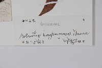 登錄號:S103167藏品圖，第2張