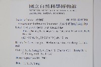 蘭嶼牛皮消、蘭嶼白薇藏品圖，第2張