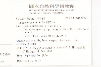 海牽牛藏品圖，第2張