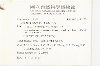 牡蒿藏品圖，第2張