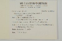 日本賽衛矛、日本假衛矛藏品圖，第2張