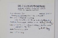 多子漿果莧藏品圖，第2張