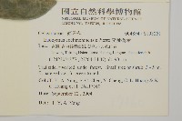 交趾衛矛藏品圖，第5張