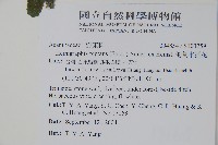 匍匐半插花藏品圖，第5張