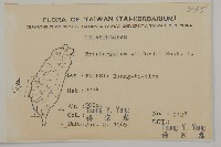 雷公藤藏品圖，第2張